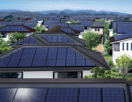 ���z�����d